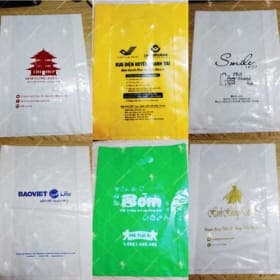 in bao hot xoai so luong