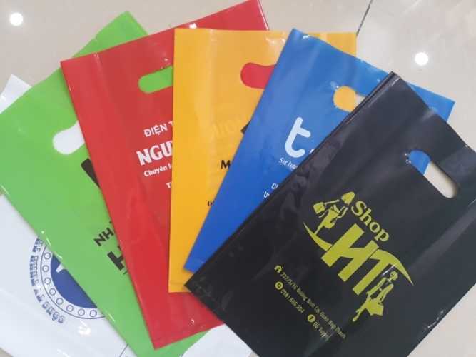 in20bao20he1bb99t20xoc3a0i202 in bao hột xoài