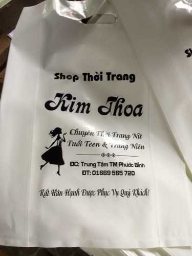 in20bao20he1bb99t20xoc3a0i20gic3a120re1babb in bao hột xoài giá rẻ