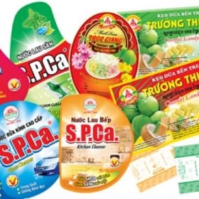 thiet ke giay nhan gia re