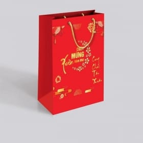 tui giay dung qua tet