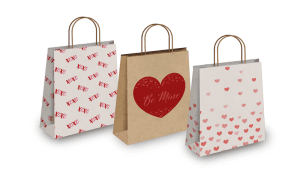 in tui giay Binh Duong 2