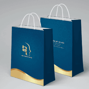 Dịch vụ in túi giấy giá rẻ quận 10 nhanh chóng