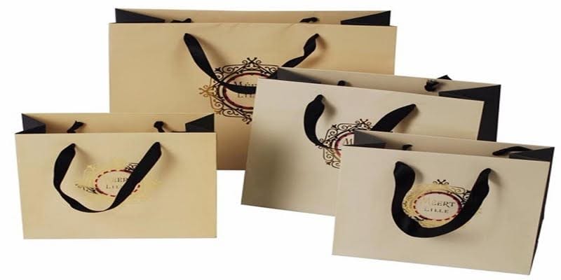 Mẫu túi giấy shop thời trang cao cấp